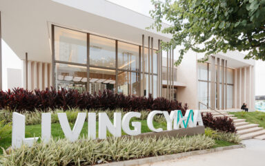 Living Wellness Aclimação